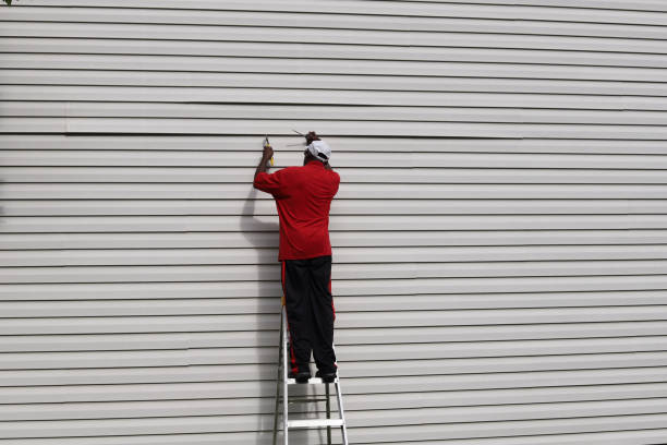 Best Storm Damage Siding Repair  in Indian Lake, MO